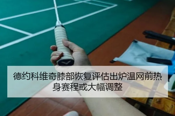 de-yue-ke-wei-qi-xi-bu-hui-fu-ping-gu-chu-lu-wen-wang-qian-re-shen-sai-cheng-huo-da-fu-tiao-zheng-2-977.jpg